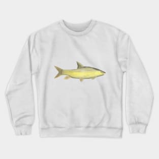 Niger Barb Crewneck Sweatshirt